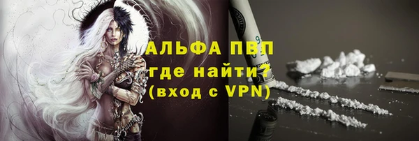 крисы Снежногорск