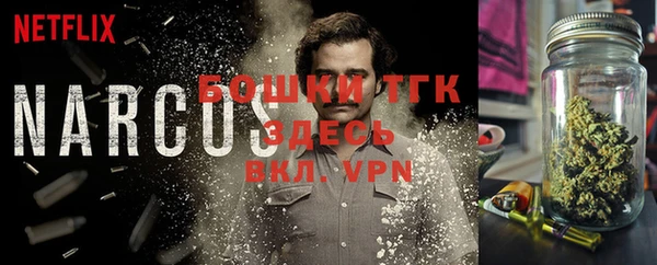 крисы Снежногорск
