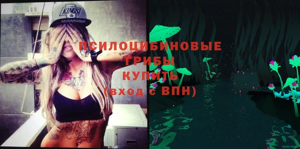 сатива Снежинск