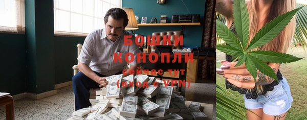 сатива Снежинск