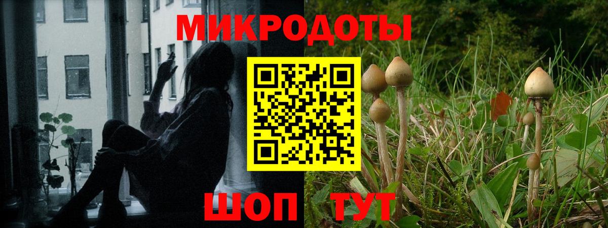 Ефремов  Галлюциногенные грибы ЛСД  Псилоцибиновые грибы MAGIC MUSHROOMS  Вход с VPN 